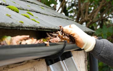gutter cleaning Chale Green, Isle Of Wight